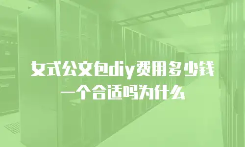 女式公文包diy费用多少钱一个合适吗为什么