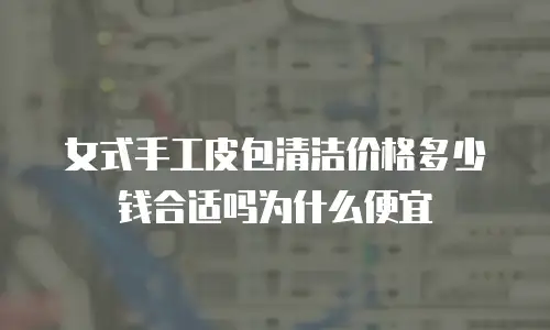 女式手工皮包清洁价格多少钱合适吗为什么便宜