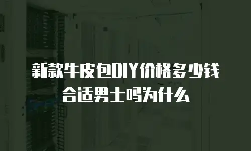 新款牛皮包DIY价格多少钱合适男士吗为什么