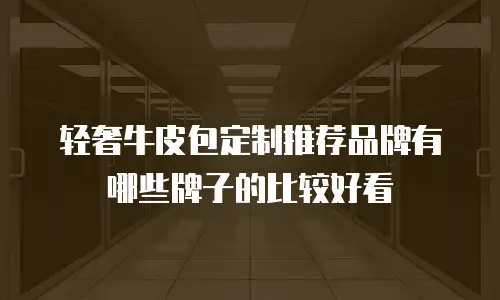 轻奢牛皮包定制推荐品牌有哪些牌子的比较好看