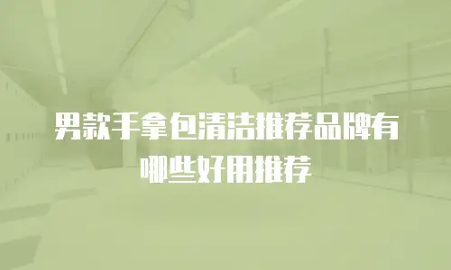 男款手拿包清洁推荐品牌有哪些好用推荐