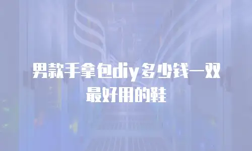 男款手拿包diy多少钱一双最好用的鞋