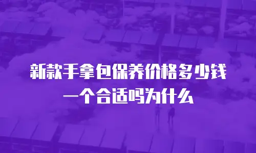 新款手拿包保养价格多少钱一个合适吗为什么