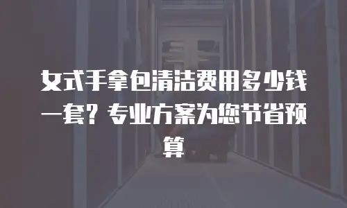 女式手拿包清洁费用多少钱一套？专业方案为您节省预算
