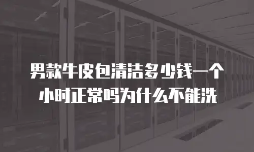 男款牛皮包清洁多少钱一个小时正常吗为什么不能洗