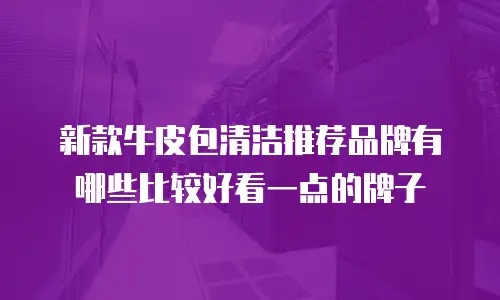 新款牛皮包清洁推荐品牌有哪些比较好看一点的牌子