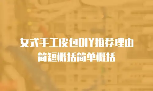女式手工皮包DIY推荐理由简短概括简单概括