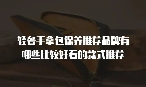 轻奢手拿包保养推荐品牌有哪些比较好看的款式推荐