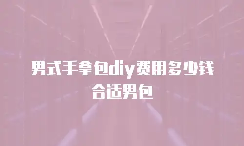 男式手拿包diy费用多少钱合适男包