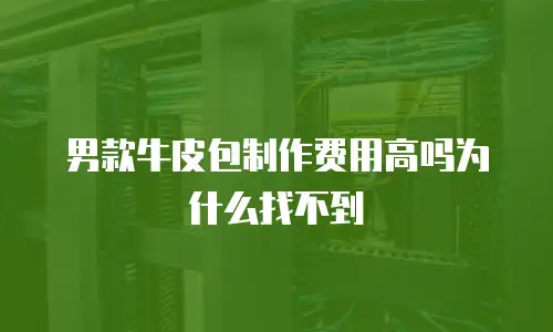 男款牛皮包制作费用高吗为什么找不到