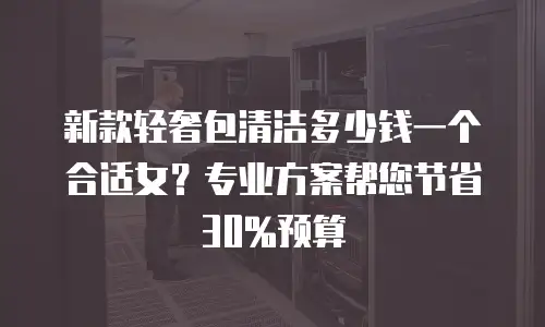 新款轻奢包清洁多少钱一个合适女？专业方案帮您节省30%预算