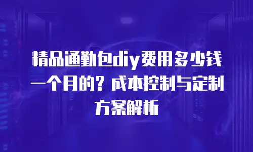 精品通勤包diy费用多少钱一个月的？成本控制与定制方案解析