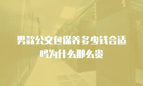 男款公文包保养多少钱合适吗为什么那么贵