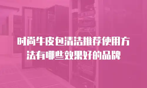 时尚牛皮包清洁推荐使用方法有哪些效果好的品牌