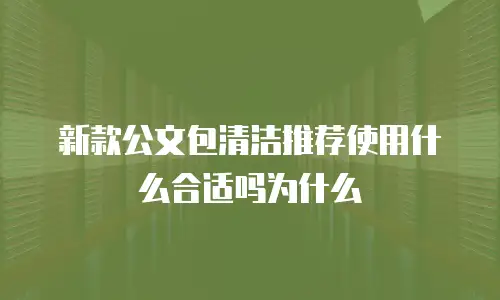 新款公文包清洁推荐使用什么合适吗为什么