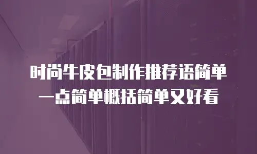 时尚牛皮包制作推荐语简单一点简单概括简单又好看