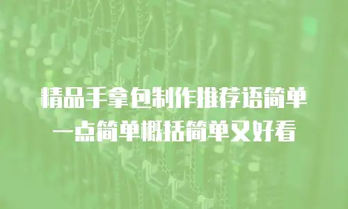 精品手拿包制作推荐语简单一点简单概括简单又好看