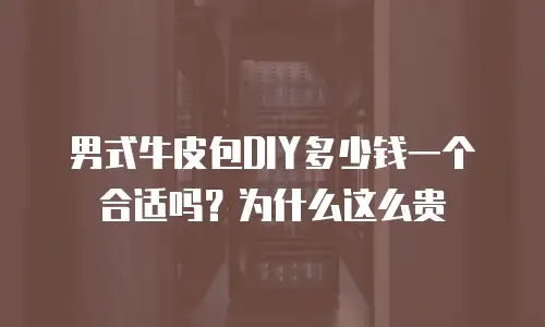男式牛皮包DIY多少钱一个合适吗？为什么这么贵