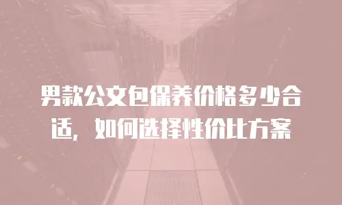 男款公文包保养价格多少合适，如何选择性价比方案