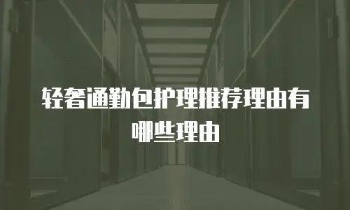 轻奢通勤包护理推荐理由有哪些理由