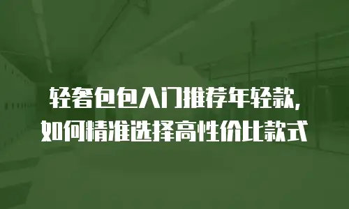 轻奢包包入门推荐年轻款，如何精准选择高性价比款式