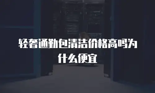 轻奢通勤包清洁价格高吗为什么便宜