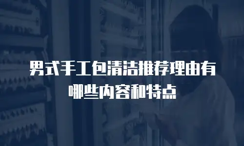 男式手工包清洁推荐理由有哪些内容和特点