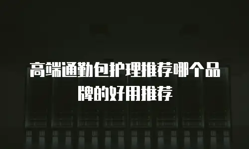 高端通勤包护理推荐哪个品牌的好用推荐