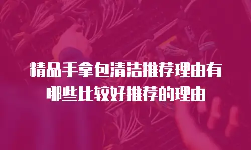 精品手拿包清洁推荐理由有哪些比较好推荐的理由