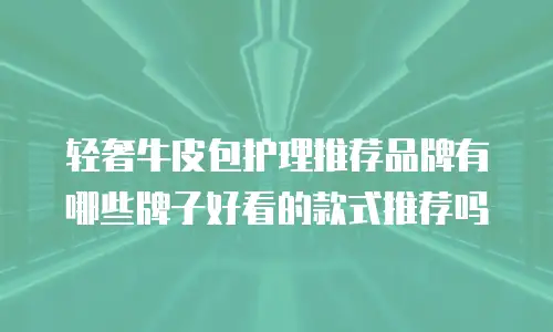 轻奢牛皮包护理推荐品牌有哪些牌子好看的款式推荐吗
