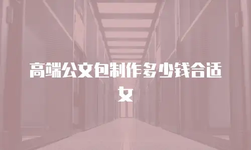 高端公文包制作多少钱合适女