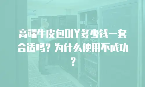 高端牛皮包DIY多少钱一套合适吗？为什么使用不成功？