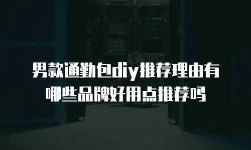男款通勤包diy推荐理由有哪些品牌好用点推荐吗