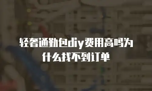 轻奢通勤包diy费用高吗为什么找不到订单