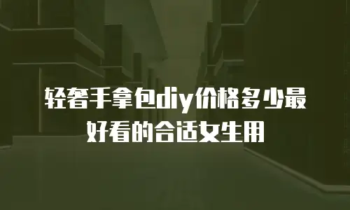 轻奢手拿包diy价格多少最好看的合适女生用