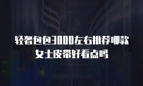轻奢包包3000左右推荐哪款女士皮带好看点吗