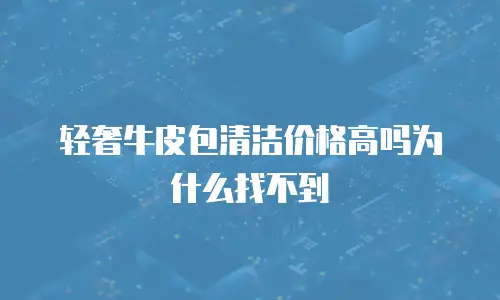 轻奢牛皮包清洁价格高吗为什么找不到