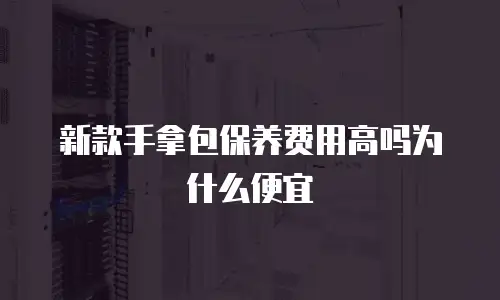 新款手拿包保养费用高吗为什么便宜