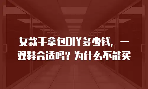 女款手拿包DIY多少钱，一双鞋合适吗？为什么不能买