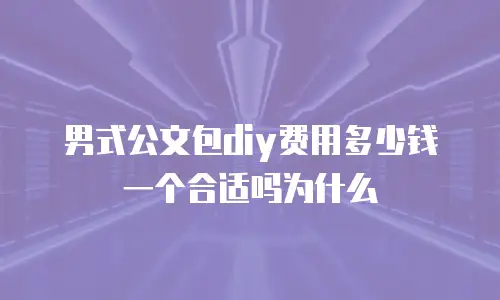 男式公文包diy费用多少钱一个合适吗为什么