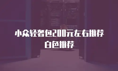 小众轻奢包200元左右推荐白色推荐