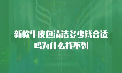 新款牛皮包清洁多少钱合适吗为什么找不到