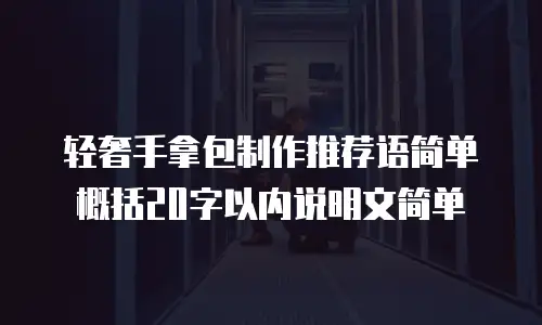 轻奢手拿包制作推荐语简单概括20字以内说明文简单