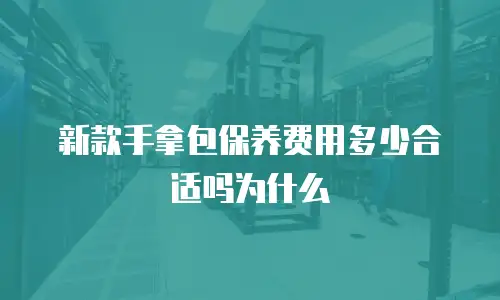 新款手拿包保养费用多少合适吗为什么