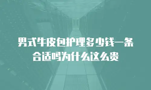男式牛皮包护理多少钱一条合适吗为什么这么贵