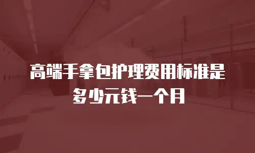高端手拿包护理费用标准是多少元钱一个月