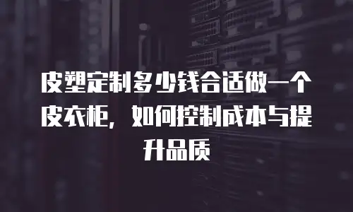 皮塑定制多少钱合适做一个皮衣柜，如何控制成本与提升品质