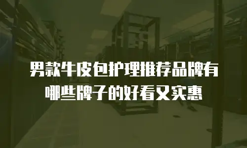 男款牛皮包护理推荐品牌有哪些牌子的好看又实惠