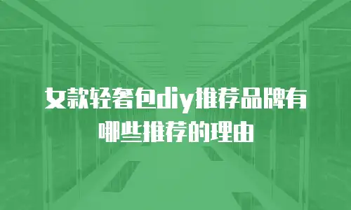 女款轻奢包diy推荐品牌有哪些推荐的理由