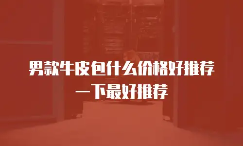 男款牛皮包什么价格好推荐一下最好推荐